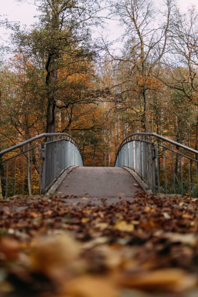 Metallbrücke mit Geländern über einen mit Herbstlaub bedeckten Weg, umgeben von Bäumen mit herbstlichen Blättern.